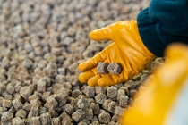 BASF’s X3D catalysts can be precisely tailored to customers’ specific chemical processes.
Photo: BASF